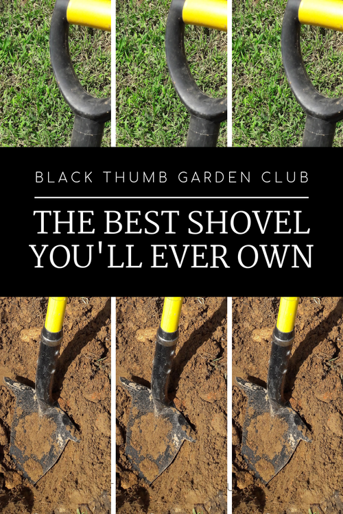 Best spade store shovel